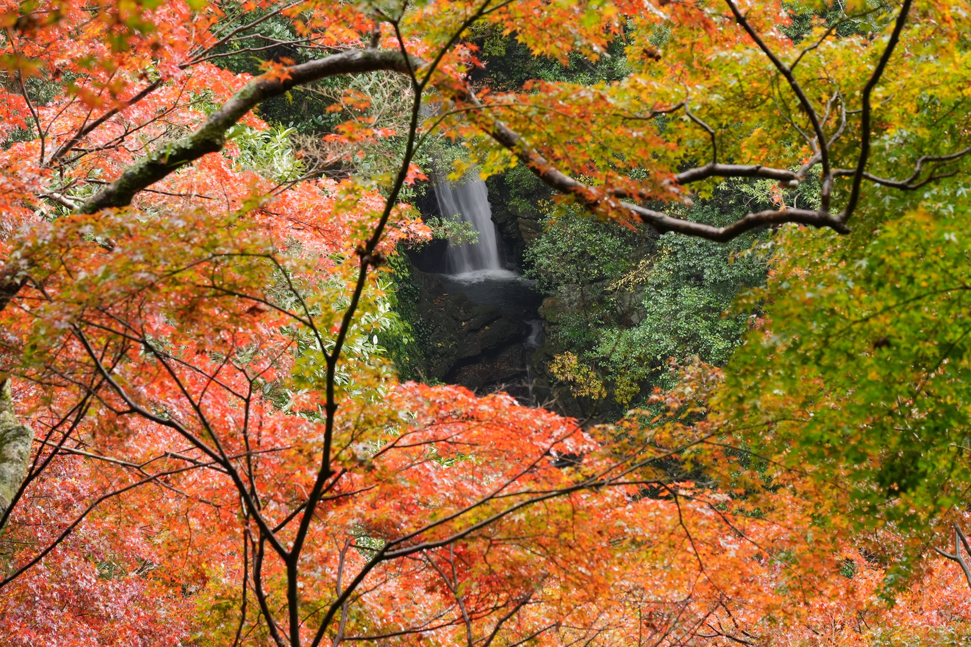 季節のスライド１