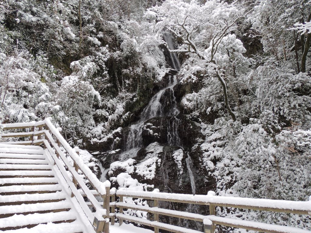 季節のスライド２