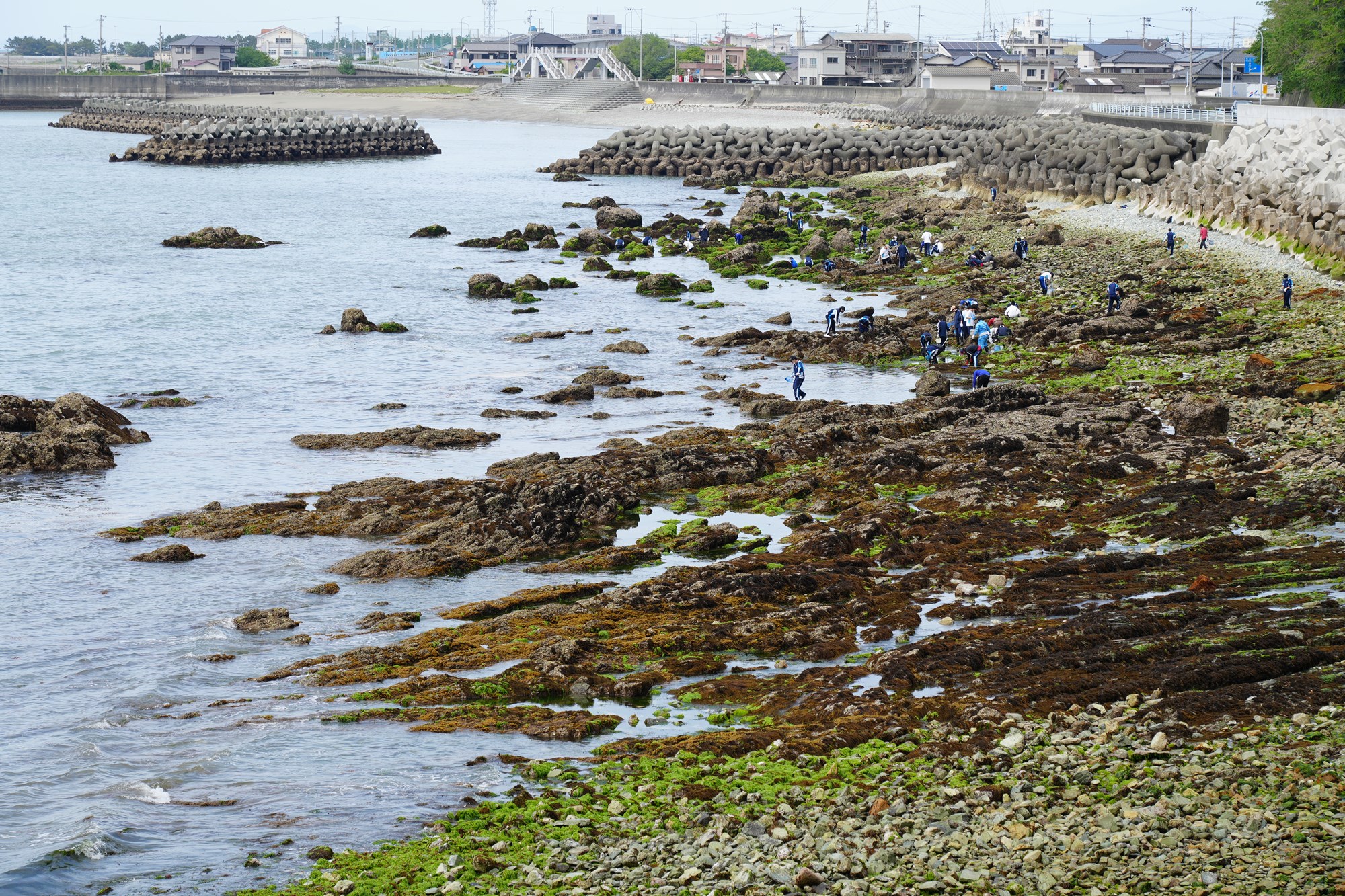 季節のスライド３